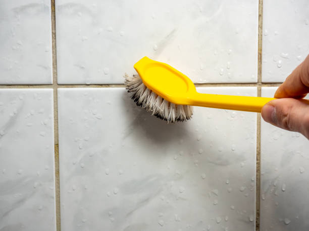 Best DIY Mold Remediation Support Services in Boonville, MO
