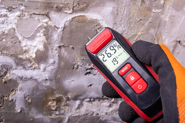 Best Health and Safety Mold Remediation in Boonville, MO