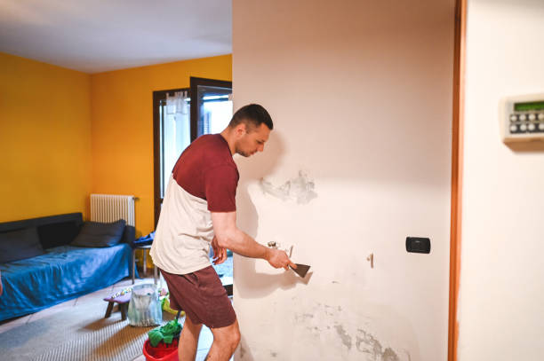 Best Residential Mold Remediation in Boonville, MO